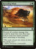 197-revealingwind.jpg
