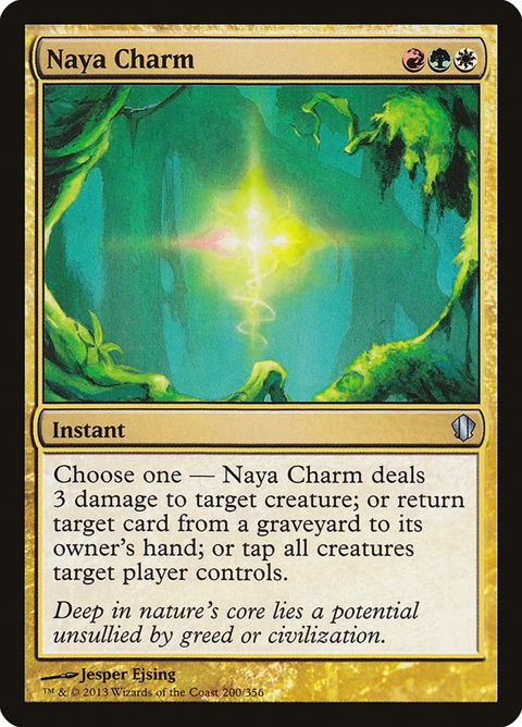 200-nayacharm.jpg