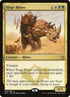 200-siegerhino.jpg