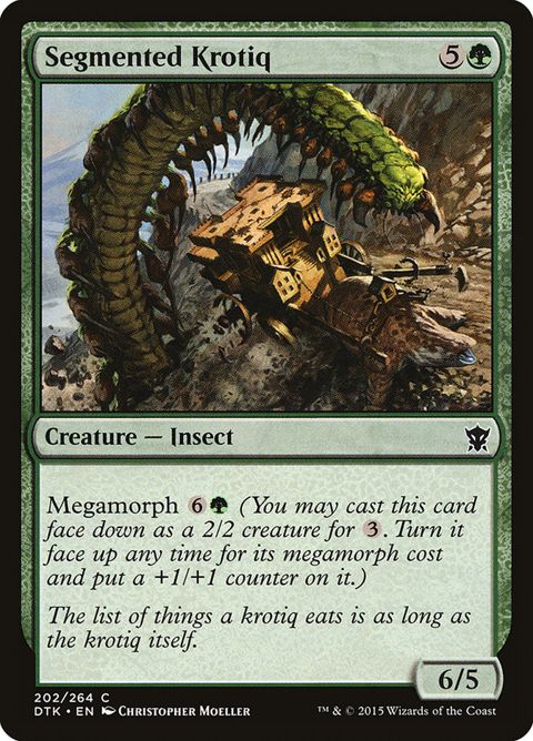 202-segmentedkrotiq.jpg