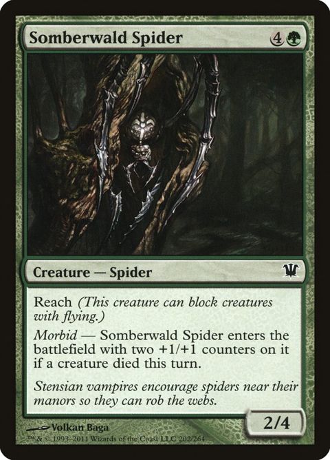 202-somberwaldspider.jpg