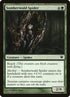202-somberwaldspider.jpg