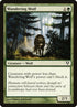 202-wanderingwolf.jpg