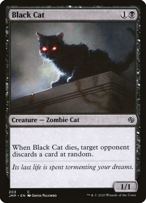 203-blackcat.jpg