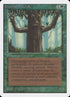 204-ironroottreefolk.jpg