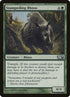 204-stampedingrhino.jpg