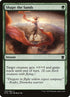 205-shapethesands.jpg