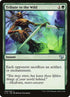 206-tributetothewild.jpg