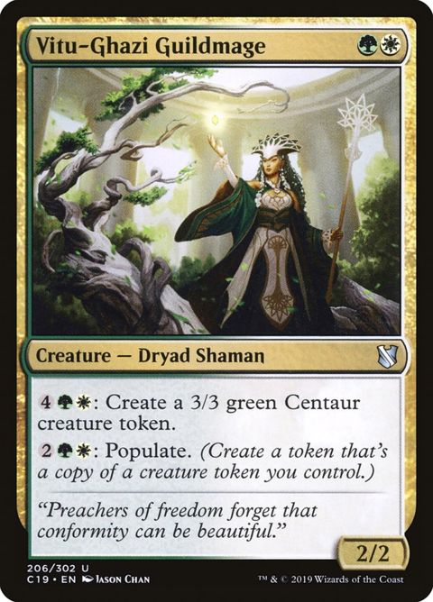 206-vitughaziguildmage.jpg