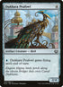 207-dukharapeafowl.jpg