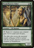 209-pendelhavenelder.jpg