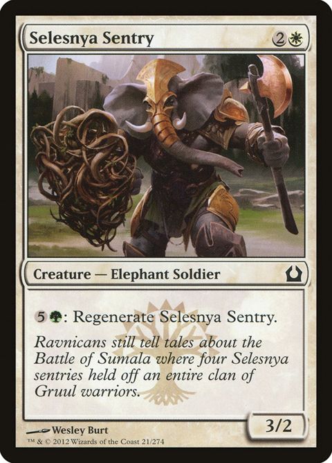 21-selesnyasentry.jpg