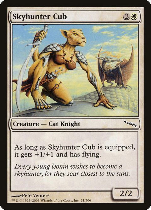 21-skyhuntercub.jpg