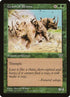 210-crashofrhinos.jpg