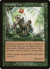 210-scoutingtrek.jpg