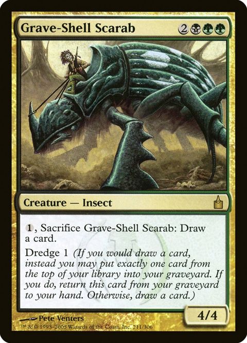 211-graveshellscarab.jpg