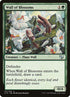 211-wallofblossoms.jpg