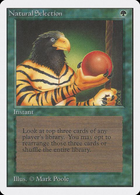 213-naturalselection.jpg