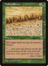 214-fallowearth.jpg