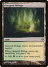 214-graypeltrefuge.jpg