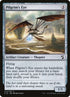 214-pilgrimseye.jpg