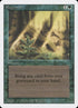214-regrowth.jpg