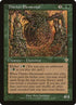 214-thicketelemental.jpg