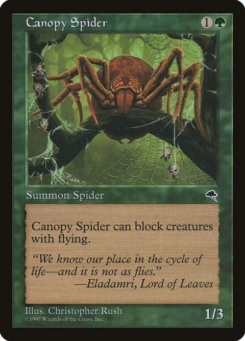 217-canopyspider.jpg