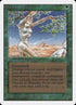 217-shanodindryads.jpg