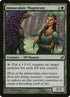 219-immaculatemagistrate.jpg