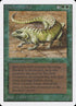 219-thicketbasilisk.jpg