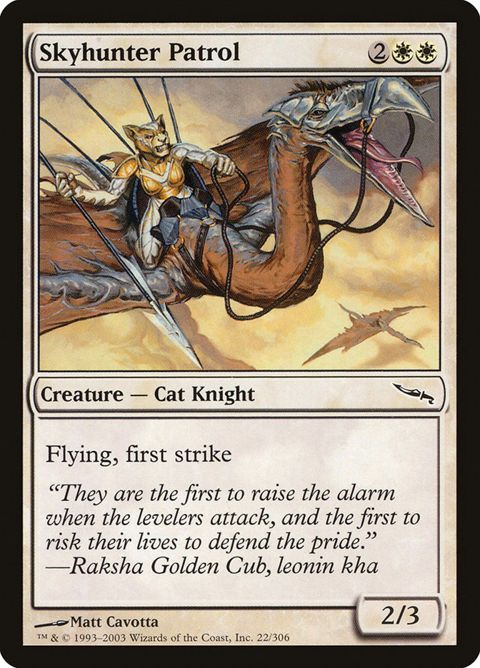 22-skyhunterpatrol.jpg