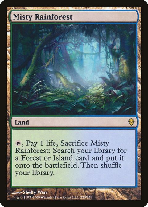 220-mistyrainforest.jpg