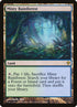 220-mistyrainforest.jpg