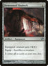 221-demonmailhauberk.jpg