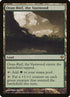221-oranriefthevastwood.jpg