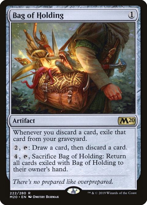 222-bagofholding.jpg