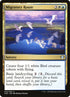 222-migratoryroute.jpg