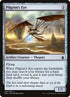 224-pilgrimseye.jpg