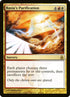 224-raziaspurification.jpg