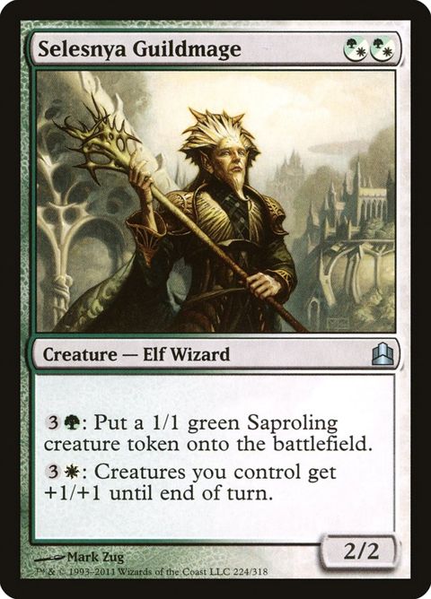 224-selesnyaguildmage.jpg