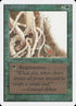 224-wallofbrambles.jpg