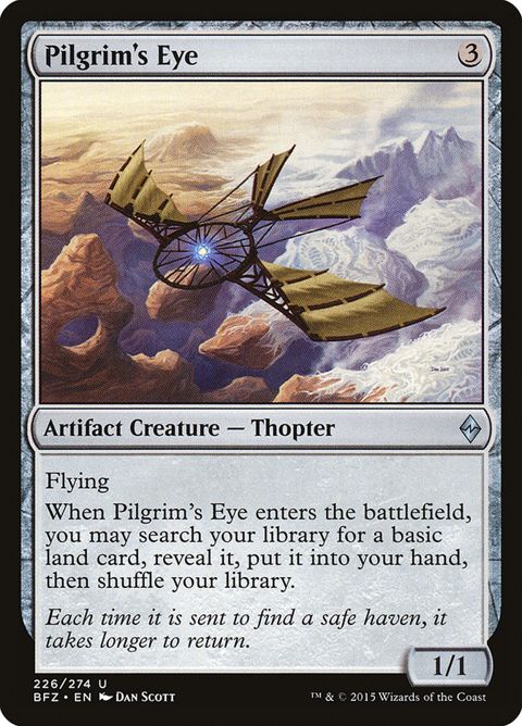 226-pilgrimseye.jpg