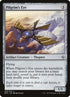 226-pilgrimseye.jpg