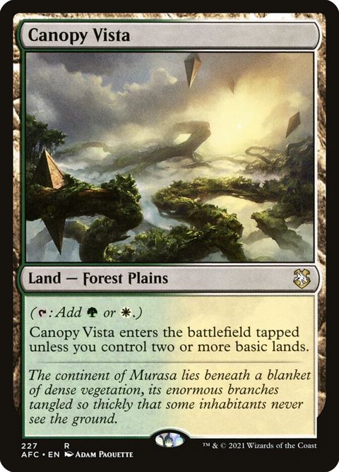 227-canopyvista.jpg