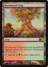 227-rootboundcrag.jpg