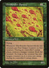 229-mindbenderspores.jpg