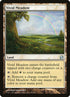 229-vividmeadow.jpg