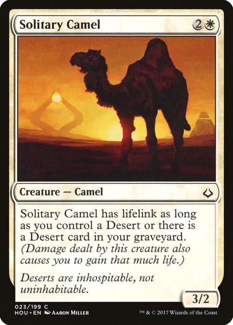 23-solitarycamel.jpg