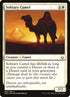 23-solitarycamel.jpg